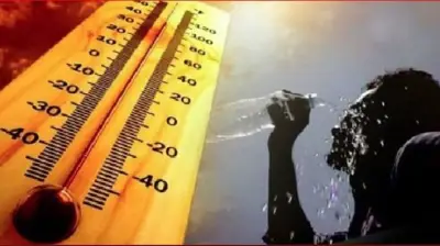حالة الطقس غدا الاثنين: أجواء حارة نهارا ومعتدلة ليلا والعظمى بالقاهرة 31