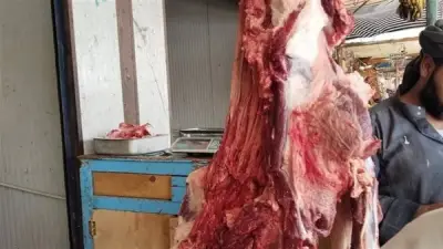 ضبط 39 كجم لحوم مجهولة المصدر وغير صالحة للاستهلاك في الوادي الجديد