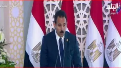 تفاصيل الأعمال الهندسية بالدلتا الجديدة: 4 ملايين متر خرسانة و121 ألف عمود كهرباء