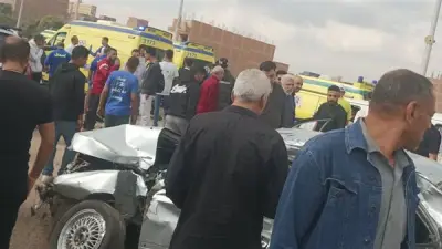 تجديد حبس سائق ميكروباص دهس 4 أشخاص في المرج 15 يوماً