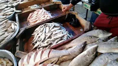 انخفاض أسعار البلطي والكابوريا في سوق العبور اليوم الإثنين 4 مايو 2026