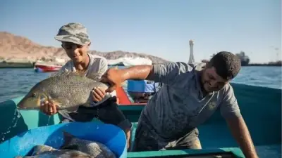 بعد توقف 4 أشهر.. الأردن يعلن عودة الصيد البحري إلى خليج العقبة