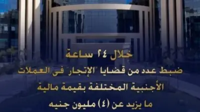 ضبط 4 ملايين جنيه في قضايا إتجار بالعملات الأجنبية