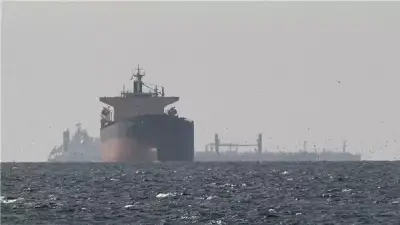 بعد انتظار شهرين.. ناقلتان صينيتان تحملان 4 ملايين برميل تغادران مضيق هرمز
