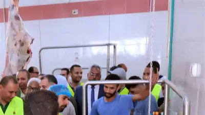 محافظ سوهاج يشهد ذبح 40 رأس ماشية لتوزيع لحومها على الأسر الأولى بالرعاية
