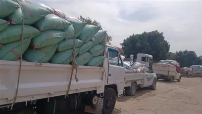 توريد 41 ألف طن قمح للشون والصوامع بالبحيرة حتى 3 مايو