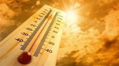 الأرصاد تحذر: ارتفاع قياسي في درجات الحرارة غدا يصل 42 مئوية