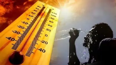 الأرصاد تحذر من موجة حارة شديدة تصل إلى 42 درجة الخميس