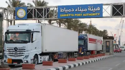ميناء دمياط يستقبل 42 شاحنة بضائع متجهة إلى الخليج عبر خط الرورو