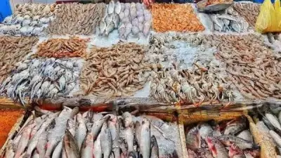سعر السمك اليوم الثلاثاء 5 مايو 2026: انخفاض المكرونة 30 جنيها والبوري 20