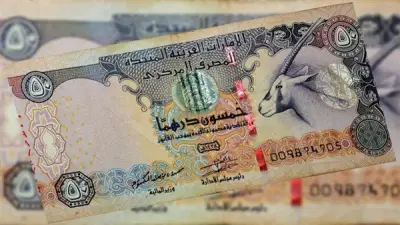 سعر الدرهم الإماراتي يستقر أمام الجنيه في 5 بنوك مصرية اليوم الأربعاء