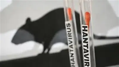 منظمة الصحة العالمية تؤكد 5 إصابات بفيروس هانتا على سفينة سياحية