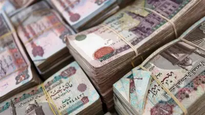 ضبط متهم بغسل 50 مليون جنيه حصيلة النصب على المواطنين