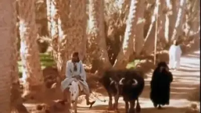 فيديو نادر يكشف كفاح فلاحة مصرية مع زوجها منذ 50 عامًا