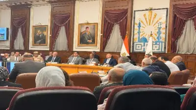 محافظ القاهرة: 50% من زوار شارع الفن أجانب ودراسة التوسع