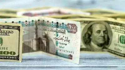 الدولار يتراجع 50 قرشًا قبل اجتماع المركزي اليوم بـ52.97 جنيه