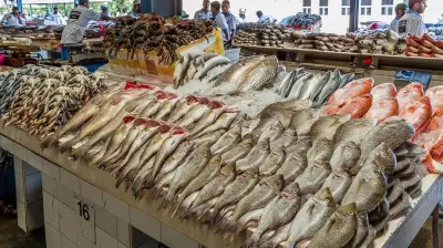 قفزات جديدة بأسعار الأسماك.. الجمبري يتجاوز 500 جنيه والبلطي يتراجع