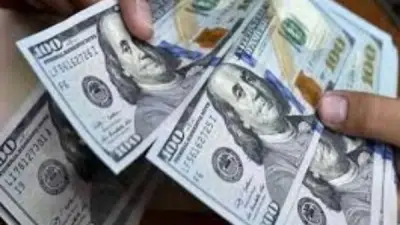 استقرار سعر الدولار مقابل الجنيه عند 52.86 جنيه في السوق الرسمية