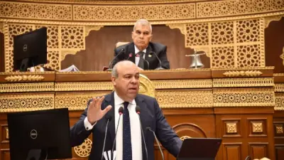 حفني: جميع شركات مصر للطيران حققت أرباحا لأول مرة.. وخسائر الحرب 53 مليون دولار