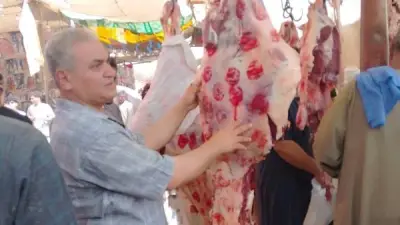 ضبط 555 كيلو لحوم ومصنعات غذائية غير صالحة في حملات بالمنيا