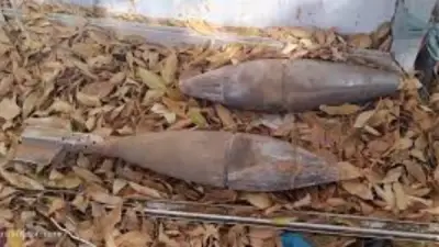 العثور على 59 قذيفة من الحرب العالمية في غابات برلين