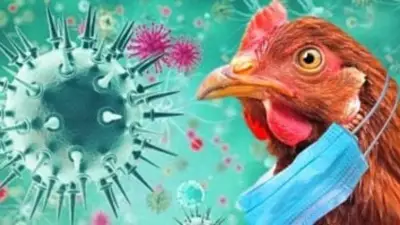 فصل جديد من الوباء.. 6 حقائق عن قدرة إنفلونزا الطيور على الانتقال بين البشر