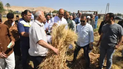 محافظ أسيوط يتفقد حصاد القمح وتوريد 67 ألف طن حتى الآن