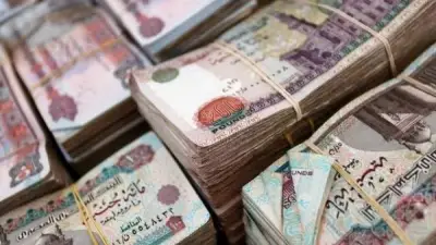 قبل التأمين على سيارتك.. 7 معايير لاختيار أفضل شركة تأمين