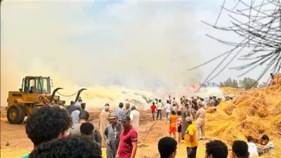 حريق شونة كتان بالغربية يلتهم المزروعات و7 سيارات إطفاء تحاول السيطرة