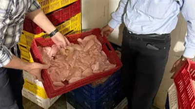 ضبط 700 كجم لحوم ودواجن فاسدة في حملات تموينية بالغربية
