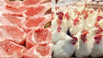 كيلو الفراخ بـ76 جنيها واللحوم تقترب من 520 جنيها قبل عيد الأضحى