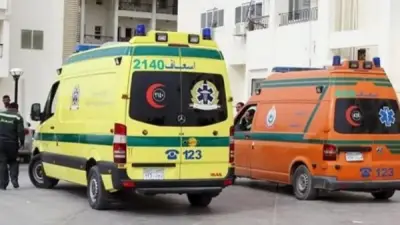 مصرع عامل وإصابة 8 في انقلاب سيارة ربع نقل بأسيوط