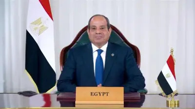 السيسي: مشروع الدلتا الجديدة بتكلفة 800 مليار جنيه و2 مليون فرصة عمل
