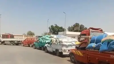 توريد 89 ألف طن قمح لصوامع بني سويف منذ بداية موسم الحصاد
