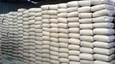 استقرار أسعار الجبس في مصر اليوم السبت 9 مايو 2026
