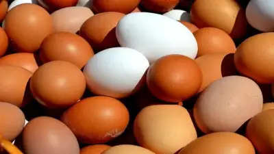 سعر كرتونة البيض اليوم السبت 9-5-2026 في بورصة الدواجن وللمستهلك
