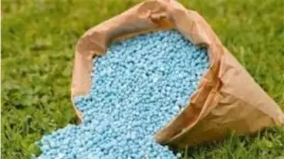 وزارة الاستثمار تفرض رسماً 90 دولاراً على صادرات الأسمدة الأزوتية
