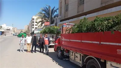 الفيوم تتسلم 9985 شتلة ضمن مبادرة 100 مليون شجرة لغرسها بالمدارس ومراكز الشباب
