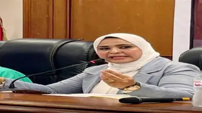 مقترح برلماني لإطلاق مشروع قومي للطاقة الشمسية في المنازل والمنشآت
