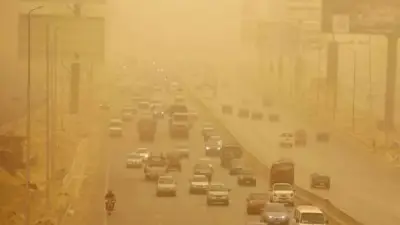 الأرصاد: رياح مثيرة للرمال تضرب القاهرة الكبرى والصعيد غداً