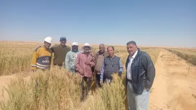 الزراعة تستعرض أنشطة مركز بحوث الصحراء في أبريل بإنجازات بحثية وميدانية