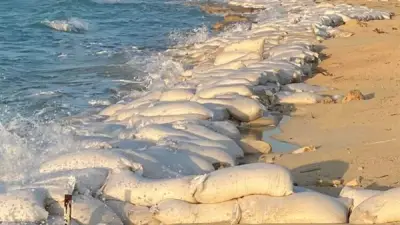 برلماني يحذر من تكرار ظاهرة نحر الشواطئ في مشروع مراسي البحر الأحمر