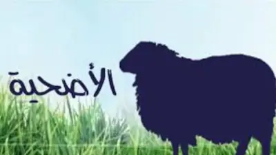 هل يجوز التصدق بثمن الأضحية بدلا عن الذبح؟ الإفتاء تجيب