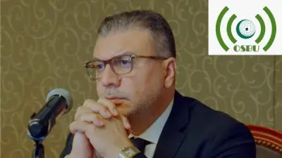 عمرو الليثي: الإعلام مسؤول عن بناء الوعي ومواجهة التضليل