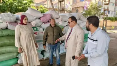 بدء موسم توريد القمح في دمياط بمتابعة يومية ولجان فحص