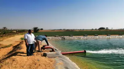 تحديث الكود المصري للري يواكب التطور التكنولوجي ويطور إدارة المياه