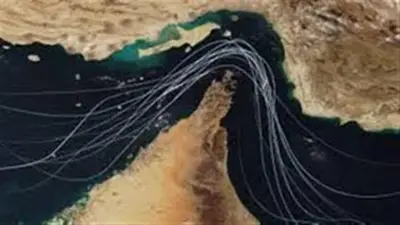 عالم مذهل تحت الماء في مضيق هرمز يواجه خطرا متصاعدا بسبب تسريبات النفط