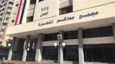 غدًا محاكمة كهربائي بتهمة هتك عرض طفلة وحملها سفاحًا بالسنبلاوين