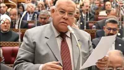 برلماني: الاستثمارات الصناعية ركيزة التنمية الاقتصادية