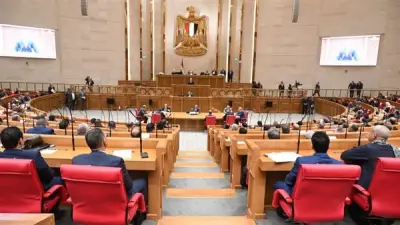 نائب يرفض تعديل قانون التأمينات: لا يتناسب مع التضخم وتراجع الجنيه